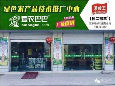 51巴巴全國中小企業(yè)電商交流會成功在京舉辦，聚焦北京企業(yè)網(wǎng)站開發(fā)與運營新路徑