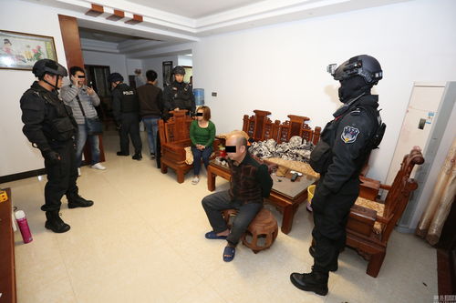 南寧破獲萬噸大米走私案 市場調(diào)研揭示走私活動的影響與危害