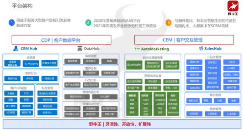 野牛王 數字化閉環運營體系如何助力餐飲企業實現高效管理